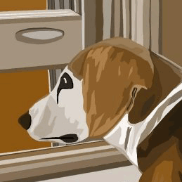 2d_beagletonal